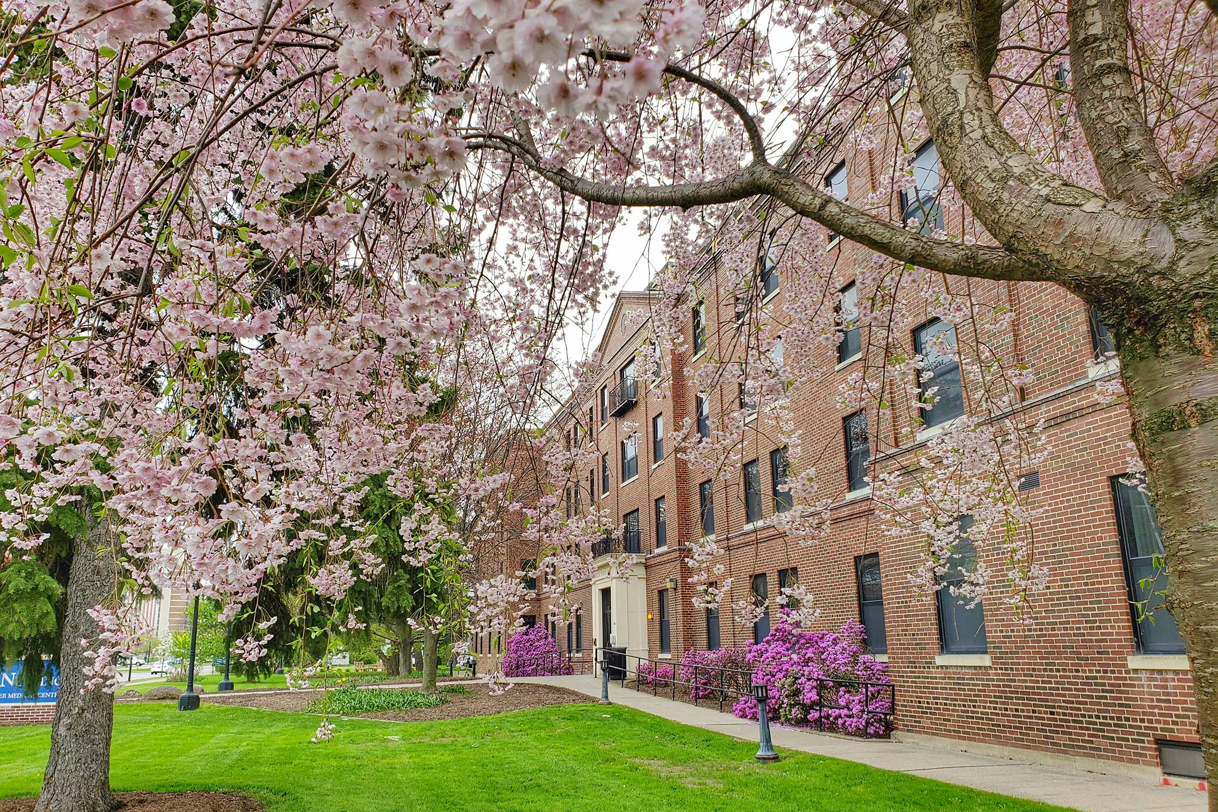 School of Nursing Building in the Spring