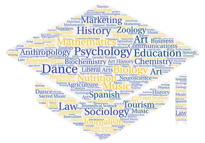 Word cloud featuring various previous degrees of students: history, education, dance, biology, etc.