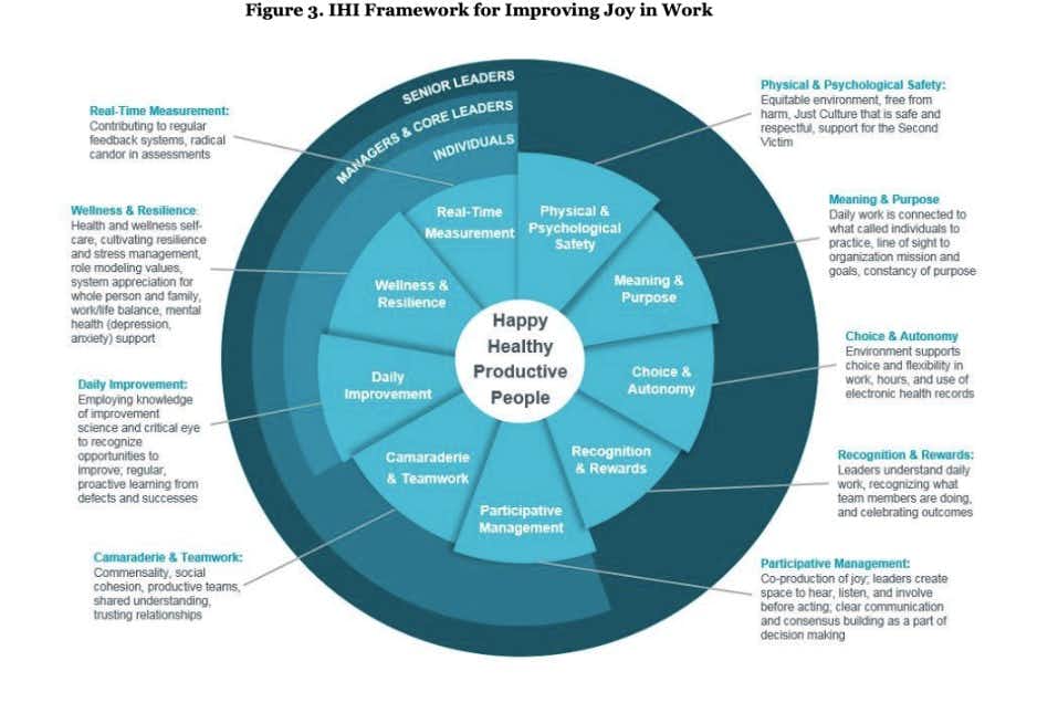 Graphic Institute for Healthcare Improvement (IHI) Framework for Improving Joy at Work