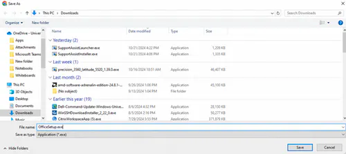 Save the setup file in your desired location