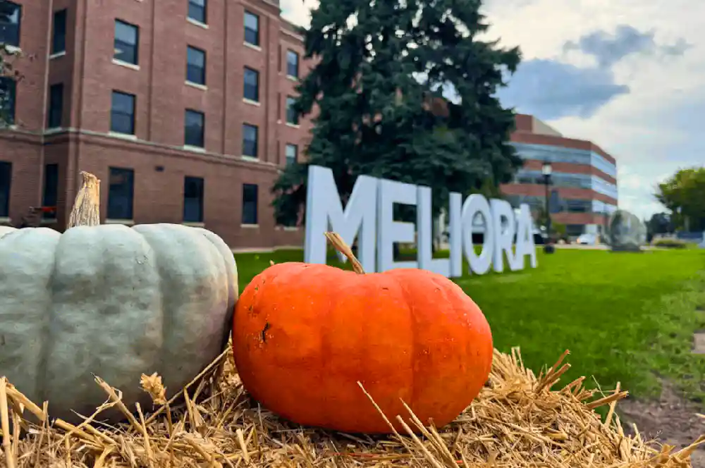 Two orange and green pumpkins sit in front of Helen Wood Hall, beside a sign that reads Meliora.