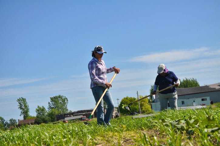 immigrant farm workers